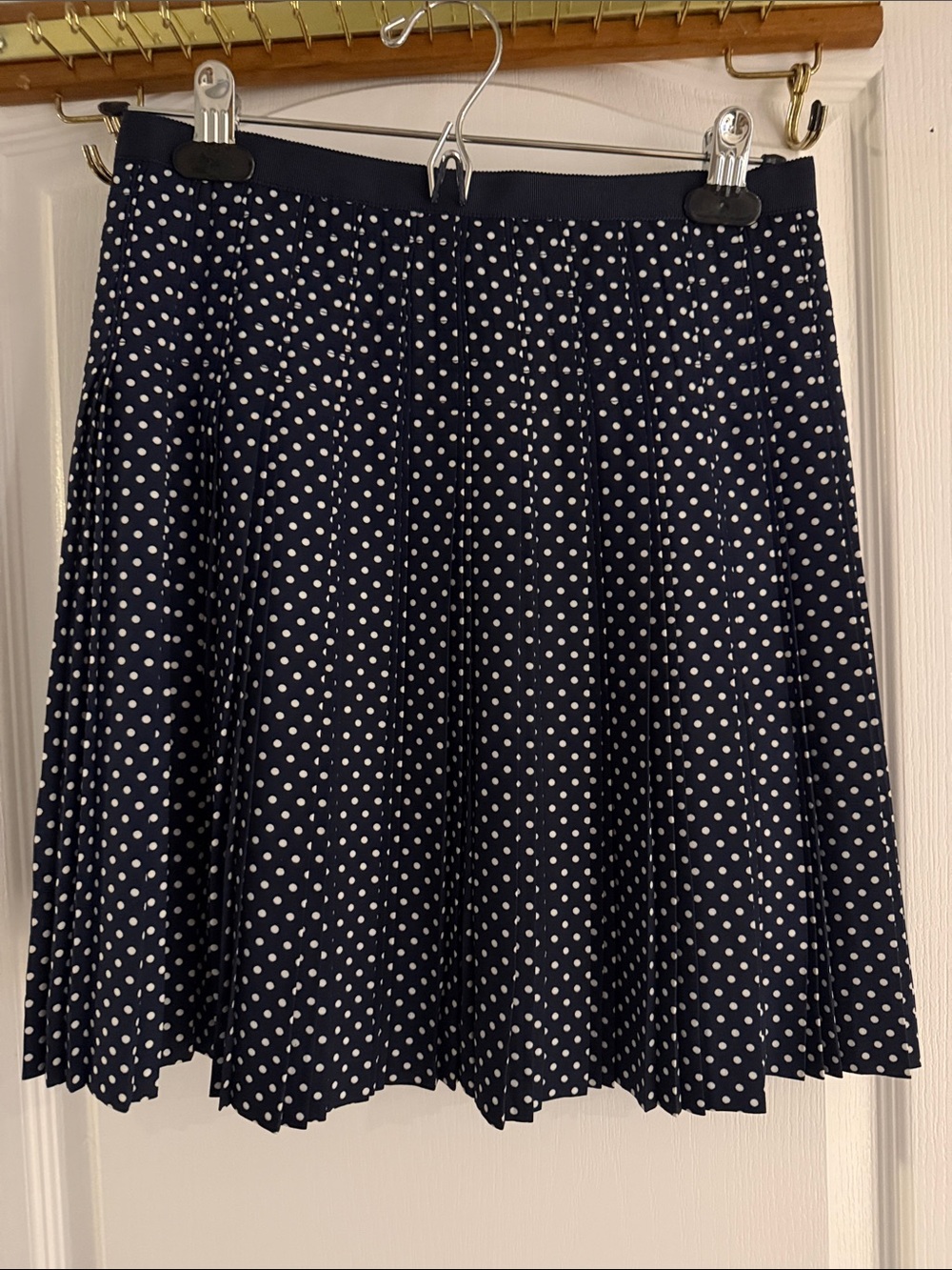 J. Crew Navy and White Polka Dot Skater Skirt